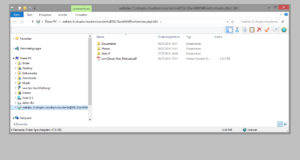 DatenCloud DropIn über WebDAV mit Windows Explorer verbunden